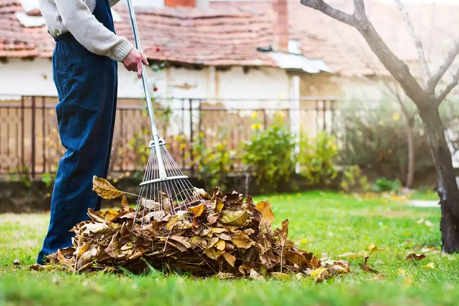 How To Clean A Backyard in Davenport, IA