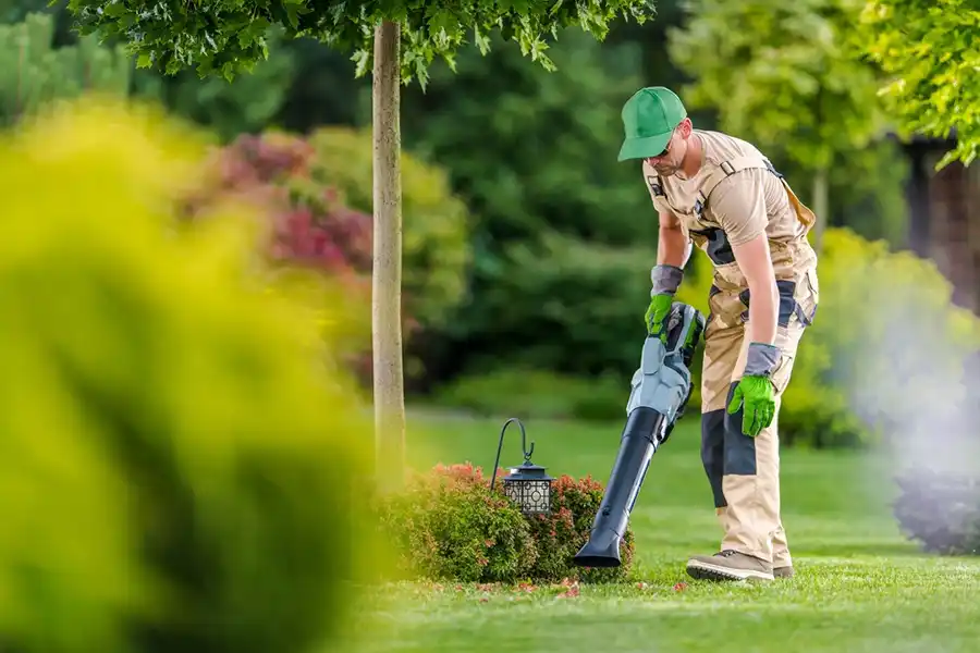 How To Clean A Backyard Davenport, IA