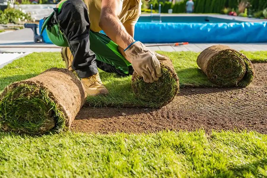 How long after installing sod can you walk on it in Davenport, IA