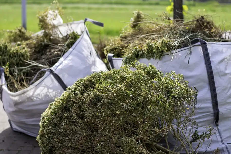 How to clear a yard full of weeds in Davenport, IA