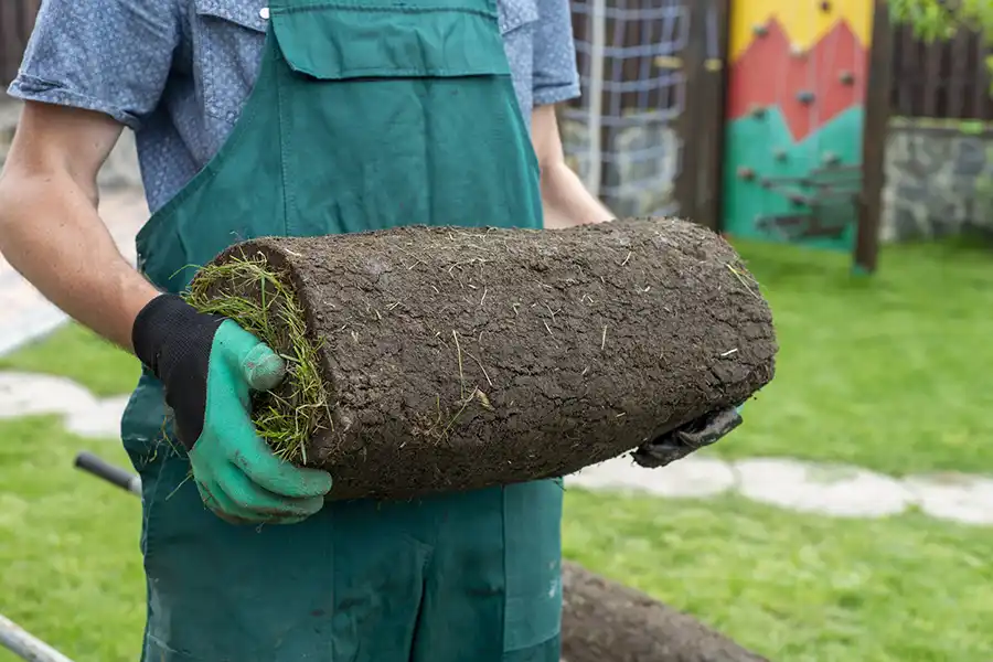 How to lay sod over existing lawn Davenport, IA