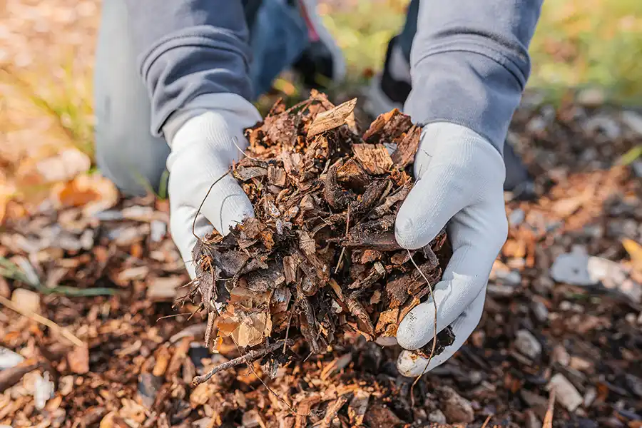 What does mulch do Davenport, IA