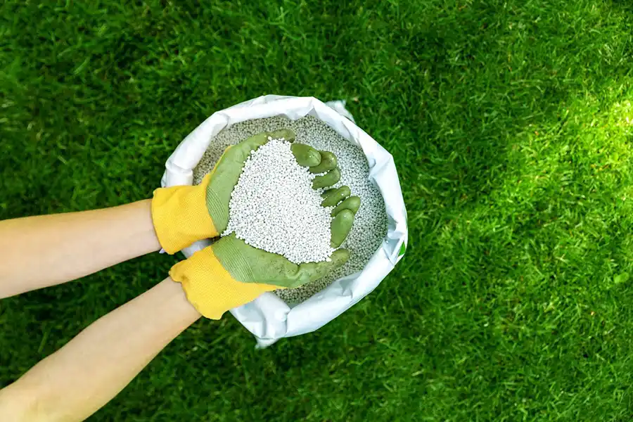 When is the best time to fertilize your lawn Davenport, IA