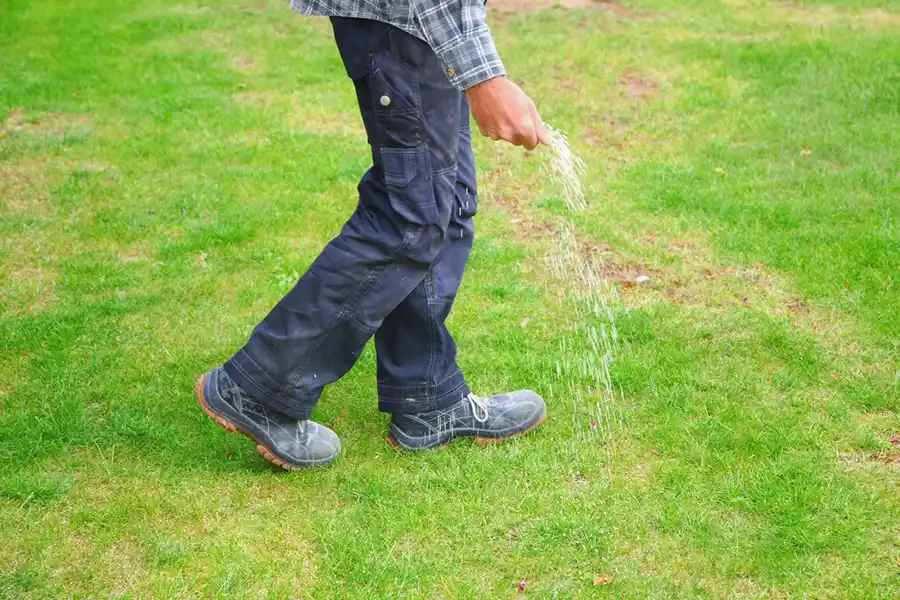 Efficient Lawn Fertilization in Davenport, IA