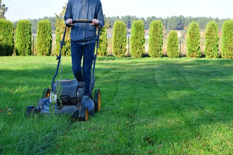 Efficient Lawn Mowing in Davenport, IA