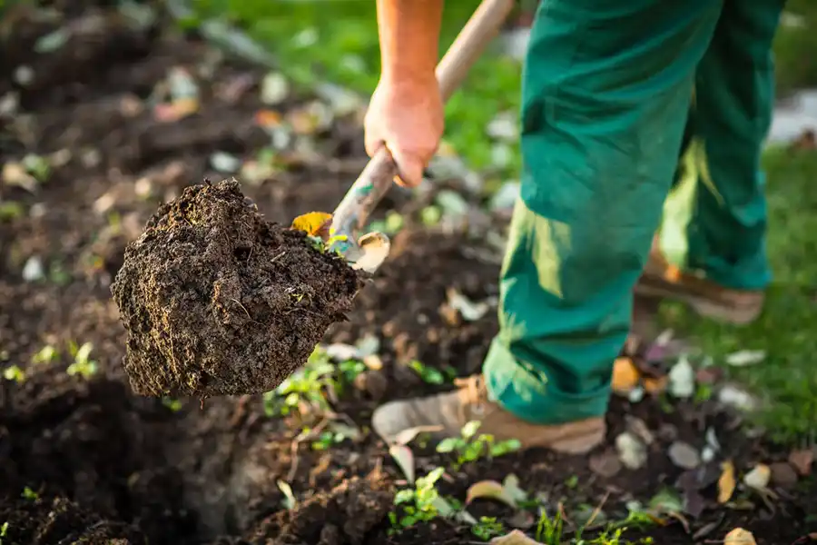 Reliable Mulching in Davenport, IA