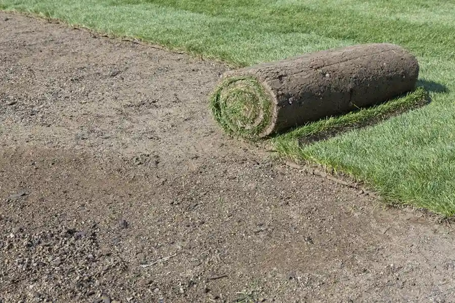 Efficient Sod Installation in Davenport, IA