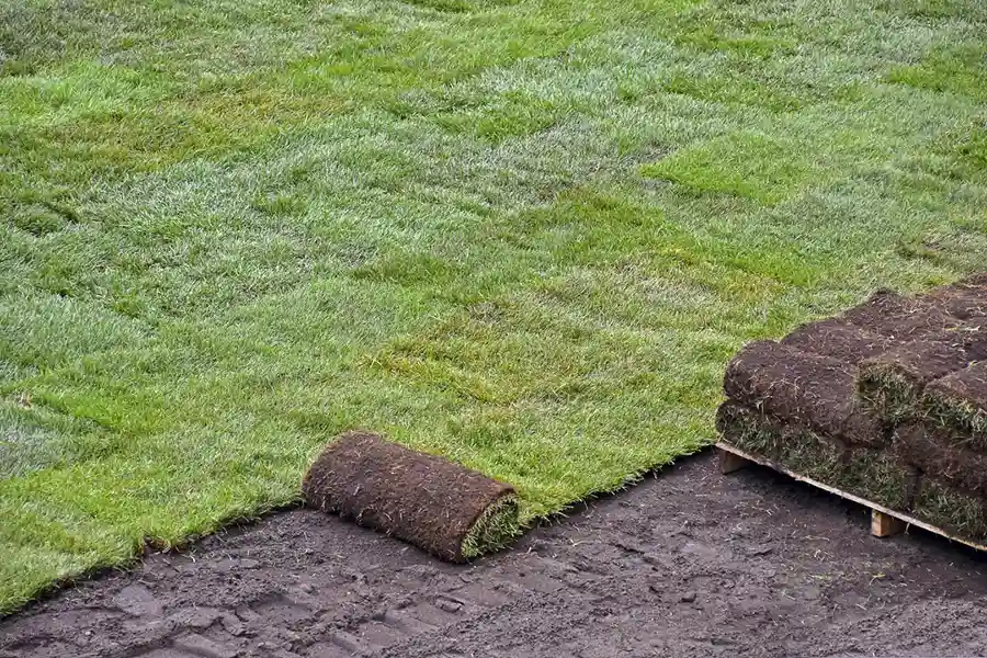 Best Sod Installation in Davenport, IA