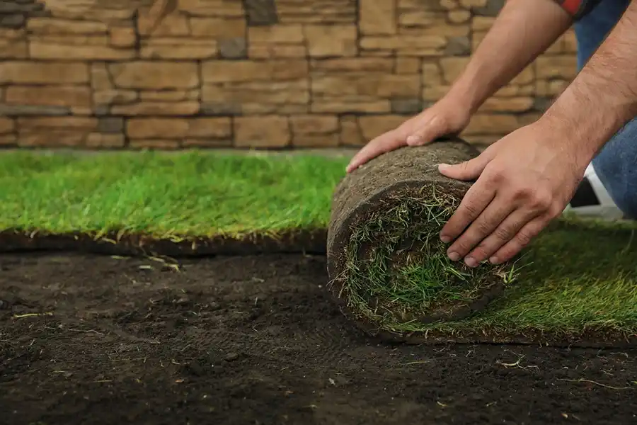 Reliable Sod Installation in Davenport, IA