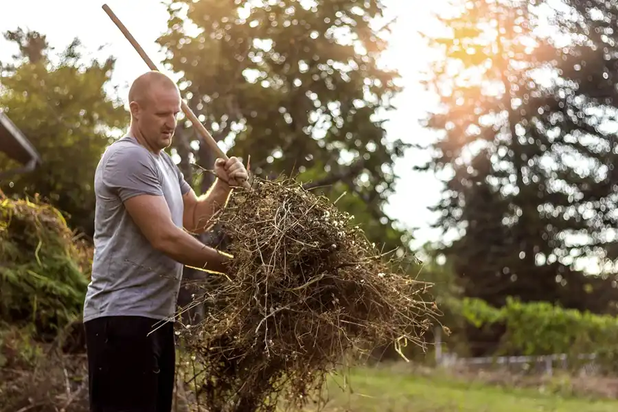 Efficient Yard cleanup in Davenport, IA