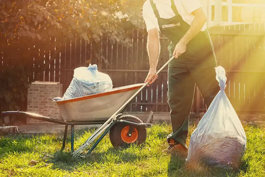 Best Yard cleanup in Davenport, IA